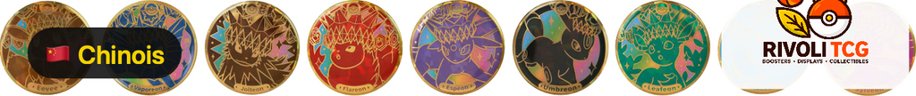 Coffret Badge Évoli & ses Évolutions — Terastal Gathering (Chinois Simplifié)