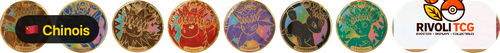 Coffret Badge Évoli & ses Évolutions — Terastal Gathering (Chinois Simplifié)