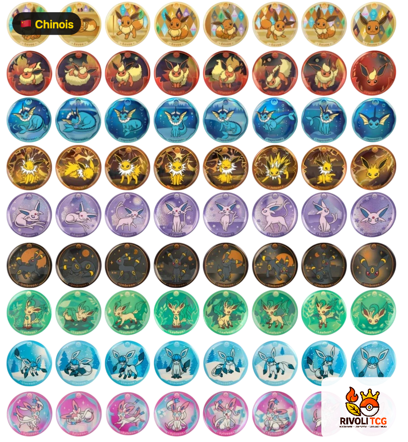 Coffret Badge Évoli & ses Évolutions — Terastal Gathering (Chinois Simplifié)